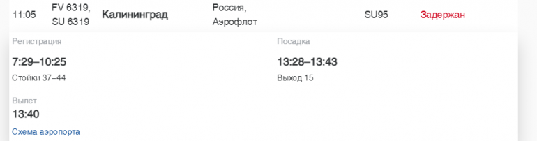 В Пулково «Россия» и Turkish Airlines задерживают рейсы в Калининград, Мурманск и Бодрум