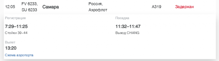 В Пулково «Россия» и Turkish Airlines задерживают рейсы в Калининград, Мурманск и Бодрум