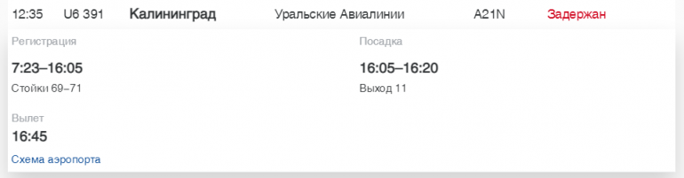 В Пулково «Россия» и Turkish Airlines задерживают рейсы в Калининград, Мурманск и Бодрум
