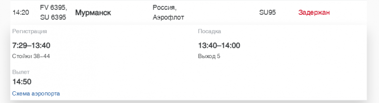 В Пулково «Россия» и Turkish Airlines задерживают рейсы в Калининград, Мурманск и Бодрум