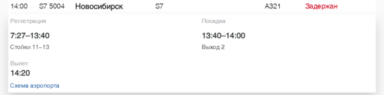 В Пулково «Россия» и Turkish Airlines задерживают рейсы в Калининград, Мурманск и Бодрум
