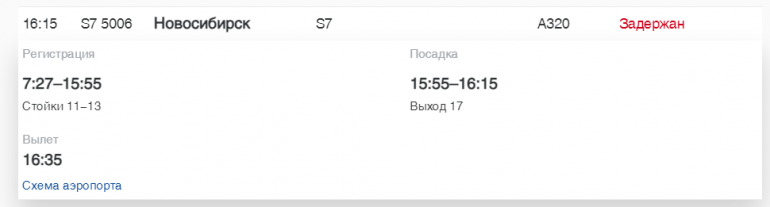 В Пулково «Россия» и Turkish Airlines задерживают рейсы в Калининград, Мурманск и Бодрум