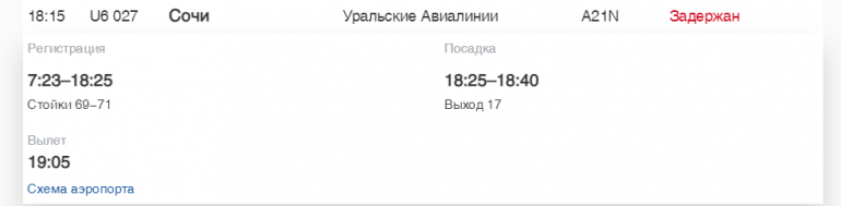 В Пулково «Россия» и Turkish Airlines задерживают рейсы в Калининград, Мурманск и Бодрум