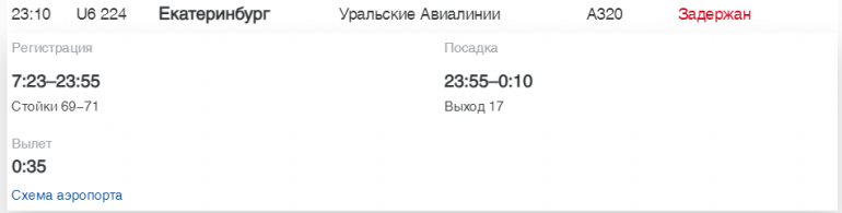 В Пулково «Россия» и Turkish Airlines задерживают рейсы в Калининград, Мурманск и Бодрум