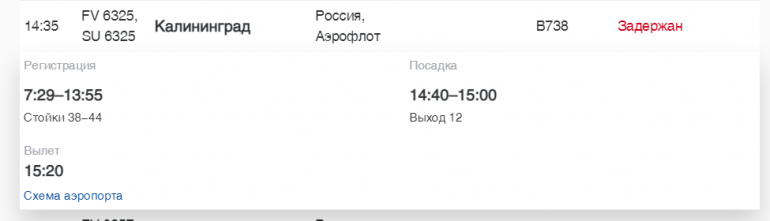 В Пулково «Россия» и Turkish Airlines задерживают рейсы в Калининград, Мурманск и Бодрум