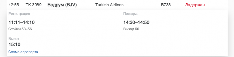 В Пулково «Россия» и Turkish Airlines задерживают рейсы в Калининград, Мурманск и Бодрум