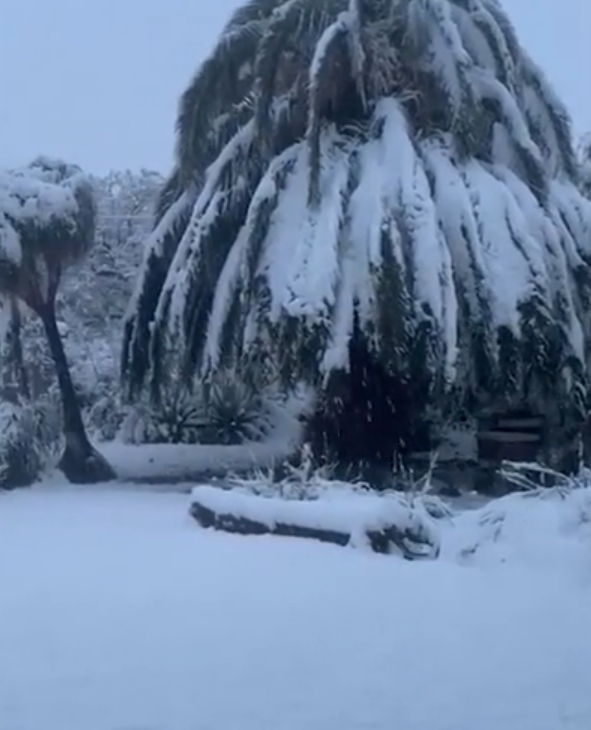 В ЮАР армию привлекут из-за неожиданного снегопада