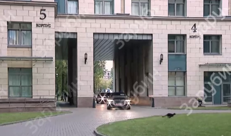 Черная кошка отказалась перебегать дорогу перед кортежем Путина