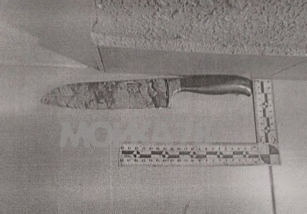 Обвинение просит для обвиняемого в убийстве жены 57-ю ударами ножа на Суздальском 19 лет в ИК