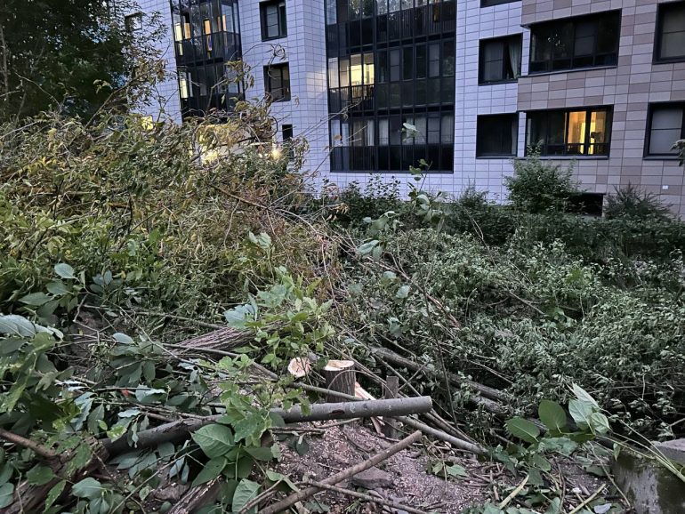 Жильцы ЖК «Артлайн» на Торфяной после сноса деревьев будут смотреть на могилы Серафимовского кладбища