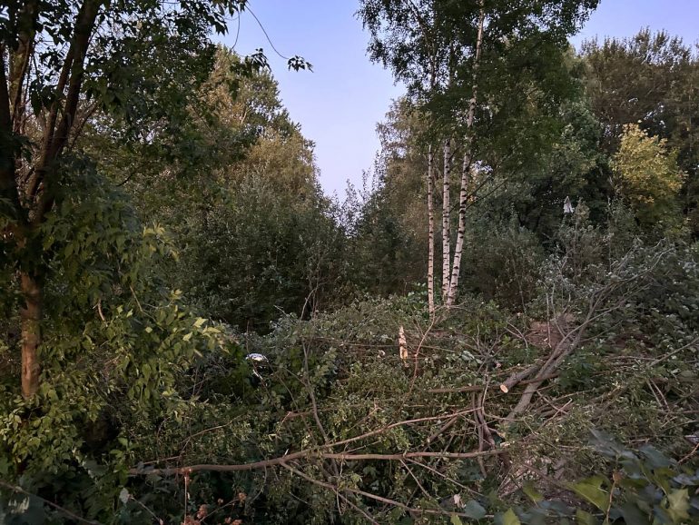 Жильцы ЖК «Артлайн» на Торфяной после сноса деревьев будут смотреть на могилы Серафимовского кладбища