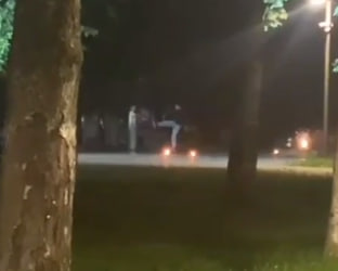 В Новгородской области на «Вечном огне» неизвестные подожгли и пинали цветы