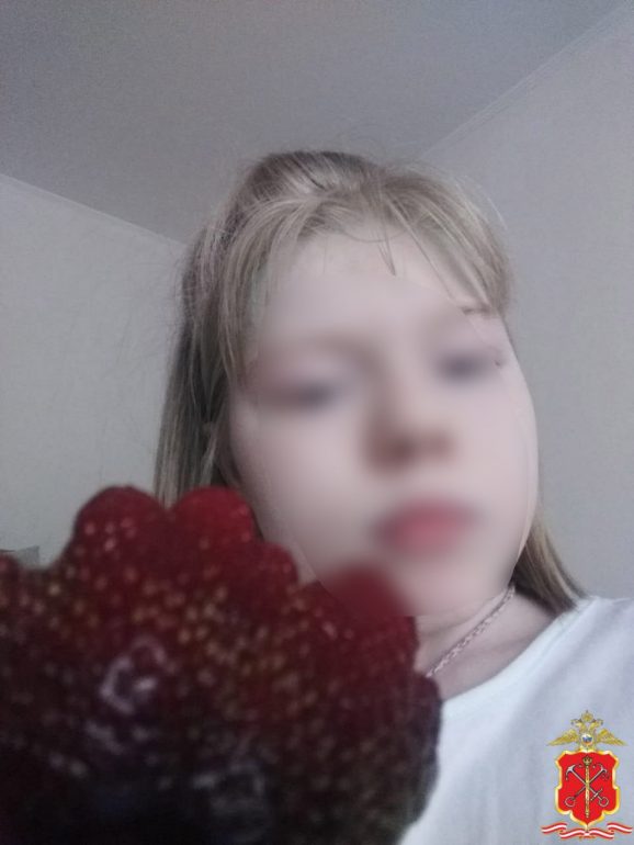 СК возбудил дело об убийстве после пропажи 12-летней девочки со шпицем в Буграх