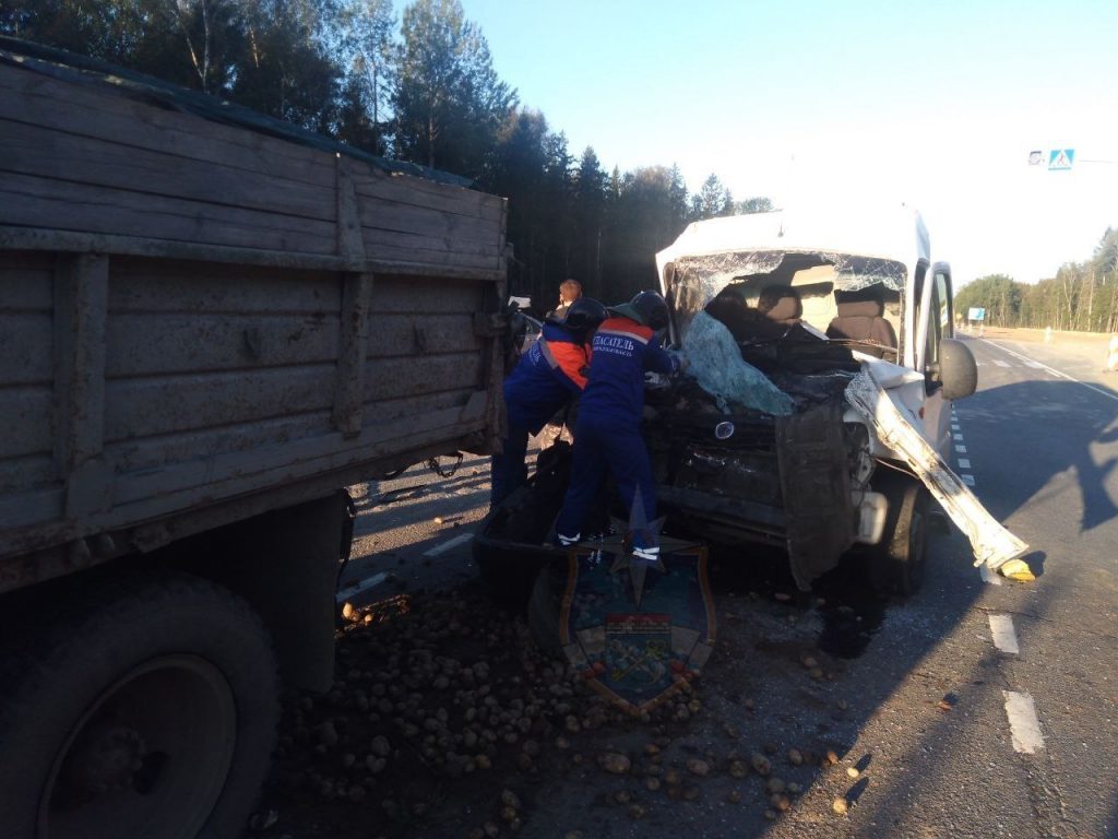 Под Тосно столкнулись грузовик и микроавтобус, двое пострадали