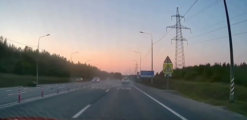 Лось выбежал на Петрозаводское шоссе и попал под колеса автомобиля