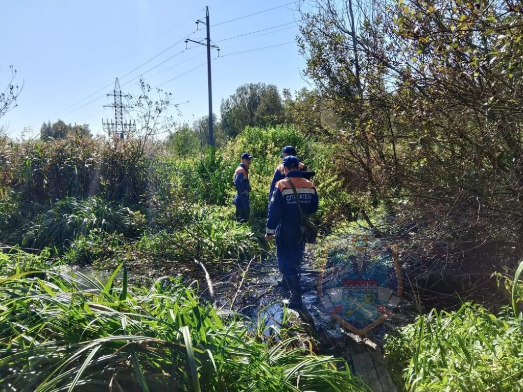 Спасатели нашли тело мужчины в лесу под Всеволожском