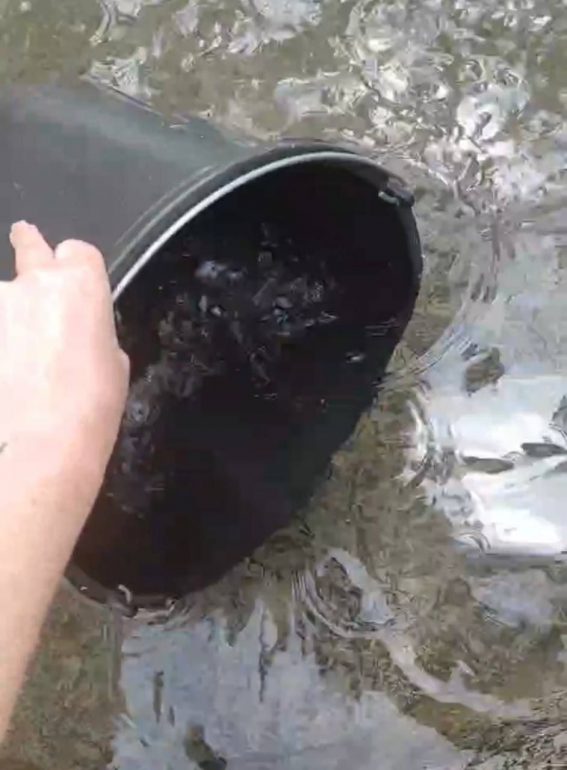 На Лиговском после открытия фонтана у жителей пропала вода