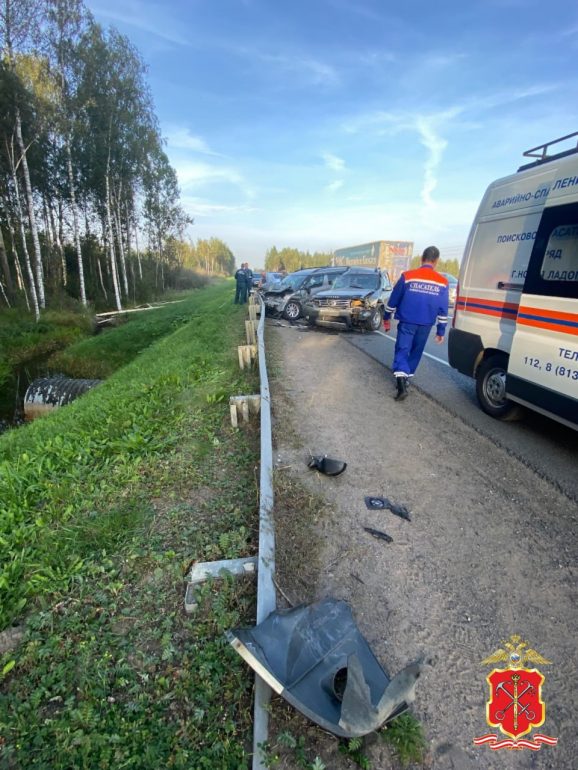 Полиция показала кадры смертельного ДТП с «Рено», «Ниссан» и «Шкода» на Мурманском шоссе