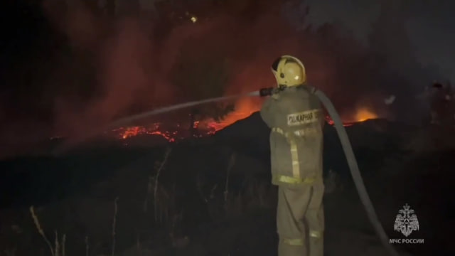 Пламя лесного пожара достигло частных домов в селе Воронежской области