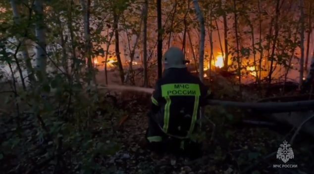 Пламя лесного пожара достигло частных домов в селе Воронежской области