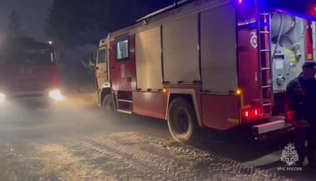 Пламя лесного пожара достигло частных домов в селе Воронежской области