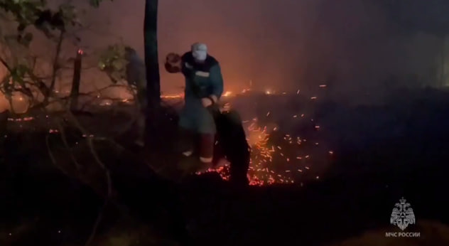Пламя лесного пожара достигло частных домов в селе Воронежской области