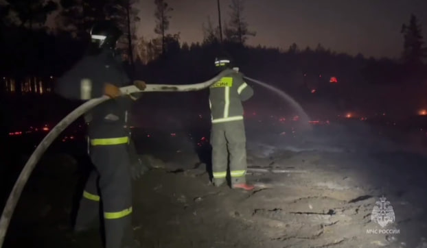 Пламя лесного пожара достигло частных домов в селе Воронежской области