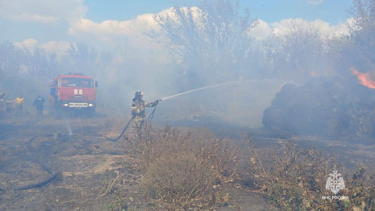 Жительница Волошино жгла траву и вызвала пожар на 1,5 тысяч «квадратов»