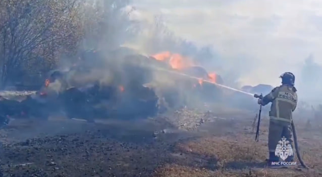 Жительница Волошино жгла траву и вызвала пожар на 1,5 тысяч «квадратов»