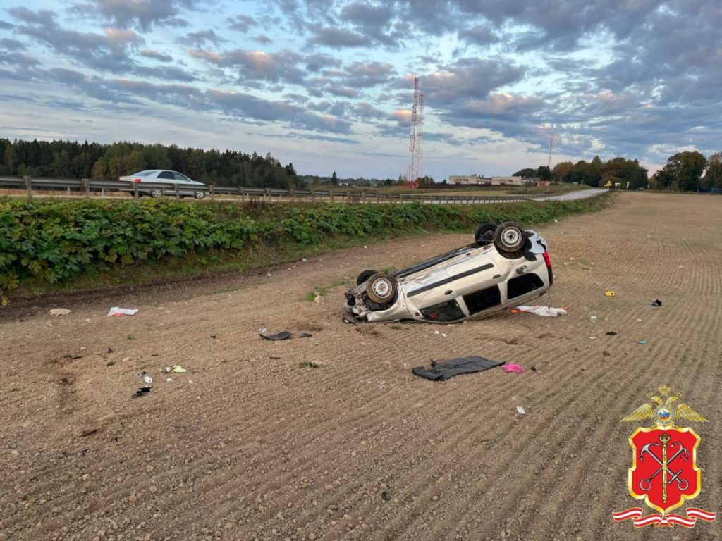 Водитель &#171;Ларгуса&#187; умер в кювете под Волосово 