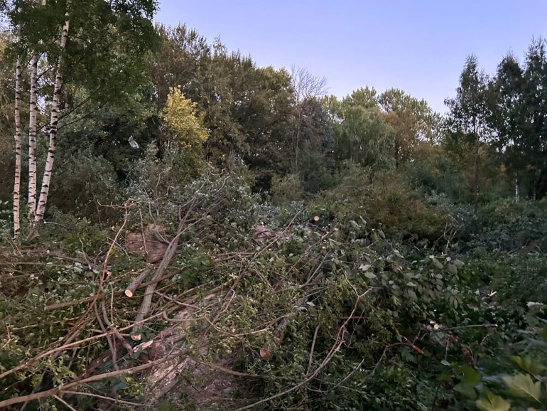 Жильцы ЖК «Артлайн» на Торфяной после сноса деревьев будут смотреть на могилы Серафимовского кладбища