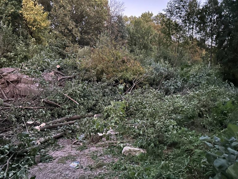 Жильцы ЖК «Артлайн» на Торфяной после сноса деревьев будут смотреть на могилы Серафимовского кладбища