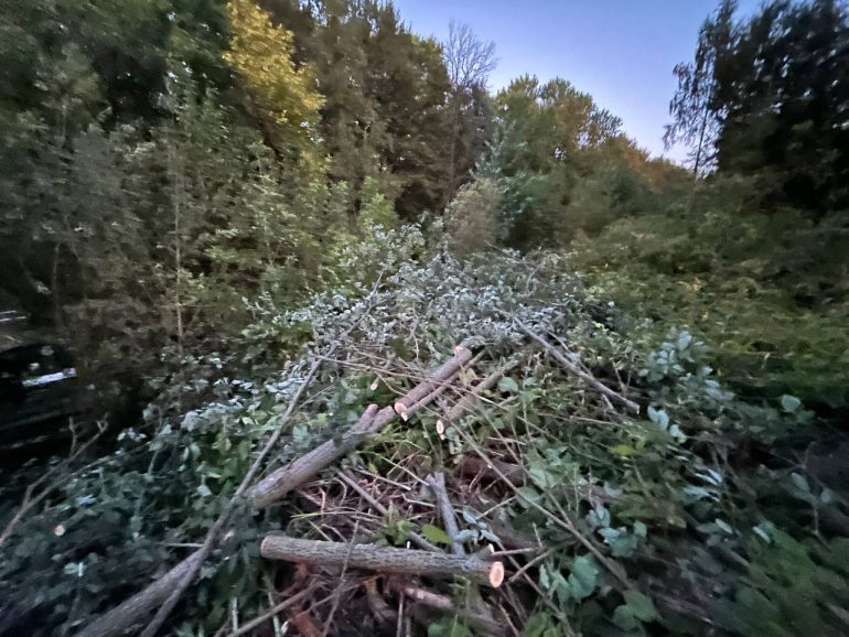 Жильцы ЖК «Артлайн» на Торфяной после сноса деревьев будут смотреть на могилы Серафимовского кладбища