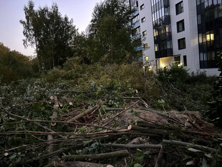 Жильцы ЖК «Артлайн» на Торфяной после сноса деревьев будут смотреть на могилы Серафимовского кладбища