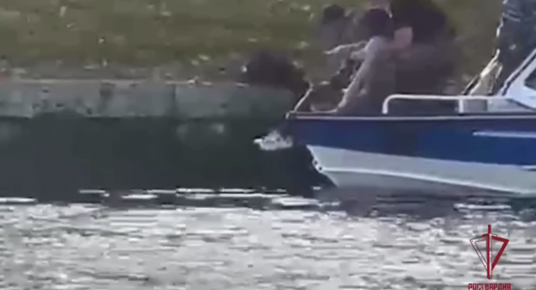 Девушка упала в Большую Невку на Елагином острове