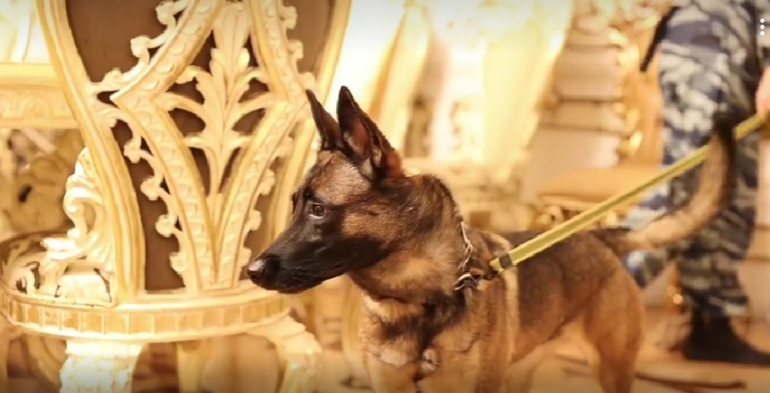 Полиция задержала более 50 цыган в Новосиверской, у них нашли наркотики и оружие