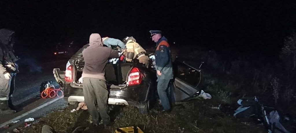 Под Омском «Лада» сбила лося и въехала в «Тойоту», погибли четыре человека