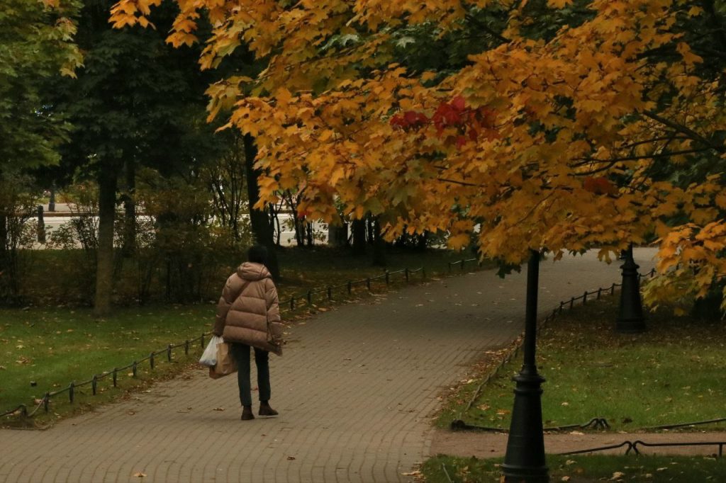 Колесов отметил, что в Петербурге на выходных будет тепло и сухо