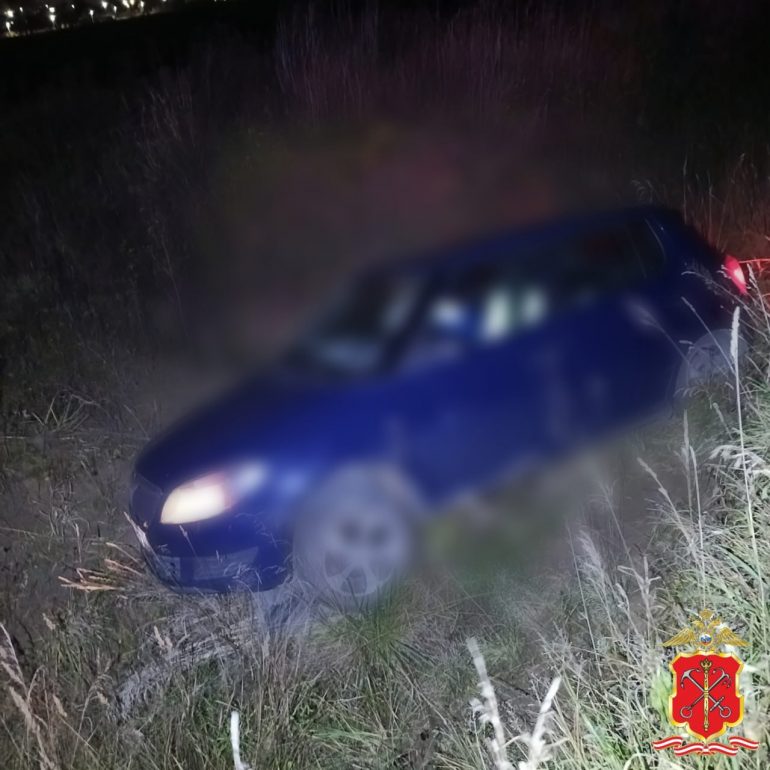 Пожилой водитель погиб, съехав в кювет в Ломоносовском районе Ленобласти