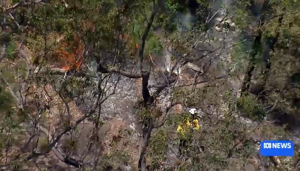 В небе Австралии произошло столкновение легкомоторных самолетов